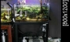 ��µ���Ҿ�����ػ�ó�¡૵ ��2૵ ���, �, ��ͧ, CO2, CHILLER, �Ѵ��, �͹��� 