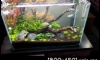 ������ ODYSSEA T5HO 24 wat x 4 