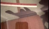 ��� L-240 Pleco ����˭�� �ӹǹ 4 ���