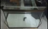 µ ç໹  