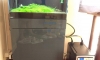 (�Դ�ͧ) ��� GEX 24" + ������ Suck Face + ��ͧ 2215 + �������� 28A