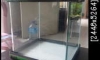 ��µ��Nano ����� EJA  30x30x35 ��.����� ������Ǥ�Ѻ