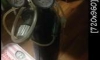 �ѧCO2 3�� ������� ������