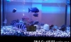���º�ҹ ��ԡ����§ ����¿�͹⵫����� 8 ��� ������������ 14 ��� ��Ҵ�������ٻ