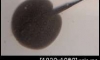 (�Դ��â��)������4.5���� 1500