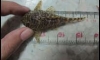 ��� L134