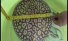 �����-SP �ȼ��5��� 10" ��������Ѻ(��Ѻ�Ҥ�Ŵ�ش�/ŧ�Ҿ����)