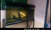 µ 48" һͧ ػóúѺ Ҥ 2000 ͧ衷 Ѻ 0923411672