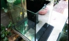  16" x 16" x 16" ͧѧ ʡ