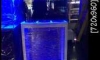 ҷк 24" Ҥش