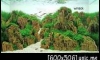 ��µ���ͧ������� aac 2015 ��Ѻ / ������� ����� compact 1000