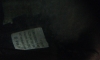 ʡ