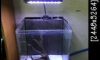 �Դ��â�¤�Ѻ // ��µ����Nano Space �ͧ ocean free ����� LED �������¡�ͧ