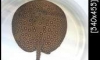 ��� ���ູ ���͵� �Թ�����
