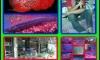 �BANPLAFARM��ҹ������͵����ش[��� ��º..���� 50 ��Դ]