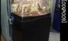 ������Ҫش���36"�١�ѹ���� ����������������