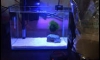 ����� 12" (30cm) �ͧ��¡�ä�Ѻ