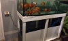 µͧҧ 60" ҧ20*٧18" 6,000