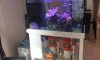 ^^غػóôդѺ^^µ  LED سҾդѺ