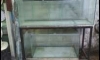 ��ԡ����§ ��� ��� 60 ��� 48 ������������ҧ ������ 2000 �ҷ��ҹ�� �ԡѴ �ҧ��