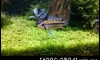 ����ͤҤҷ����� ��ҡ��¤�Ѻ Ŵ����� 900