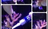 ��� �����蹾���� �Դ㹹�ӡ��� �س�Ҿ�� �ô���蹾���� ���� 1 �� 1  