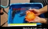 Ŵ�Ҥҷ����ش �Ҥ����� 5 ��� 3500 �ҷ �Ҥҹ�����Ѻ�ͧ�Ф�Ѻ