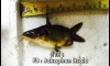 ��»�ҡ��ͧ����鹤�Ѻ