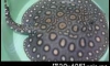 ��»�ҡ��ູ�κ�Դ8����