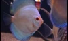 �ͺ�س��Ѻ