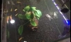 ��»��¡��� 1500 �ҷ
