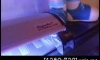 ��� LED 俢��-��� 36���� ����Ѻ�������ӷ�����ͺ��ç����ҵ����� 900