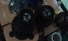 µǷӤ