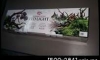 �LED LIGHT��Ҵ36CM. �Թ������ 1 ��Ѻ�Ҥ����� 500 �ҷ ����� 2��