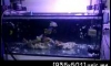 µ 48 x 24 ٧ 20   ˹ 10 