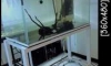 ��µ�� 48x20x24" �����硡��ͧ�բ��