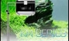¹!!! LED KM SERIES 100W Ѻʧ ͧ
