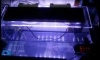  zetlight 