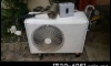 ªش¨ 6500 + ( C9 + Nac5.5 ) 5500