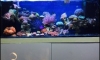 µ60*20*20 