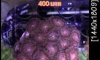 д ʵ ŴҤ 1 Ŵ  100 , 2  Ŵ 200 , 3 Ŵ 300.
