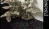 ªشԹѴç. 1500ǹվ觹
