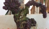 ªشԹ¾͡ҡ 15*15˭ҹʺ ç 500