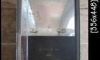 ����� MH �������ʹ PHILIPS MHN-TD 150W/842