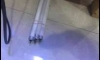  T5   36 ǤѺ  4 ʹ ա 4 ʹ