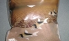 ��ͧ��÷����� sudo bottom sand ��Ѻ