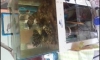 µ 24*24*20 12žҧ˹բ 4000Ŵ(ѧԵ)
