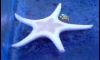 ͺس鹷 aqua.c1ub  .¤Ѻ ͡˹͡ѹѺ ^ ^