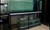 ��µ���� 84x30x33 ��ͧ��ҧ ��Ҿ��������