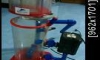  BM-160E  Eheim 1260 Ҿٻ